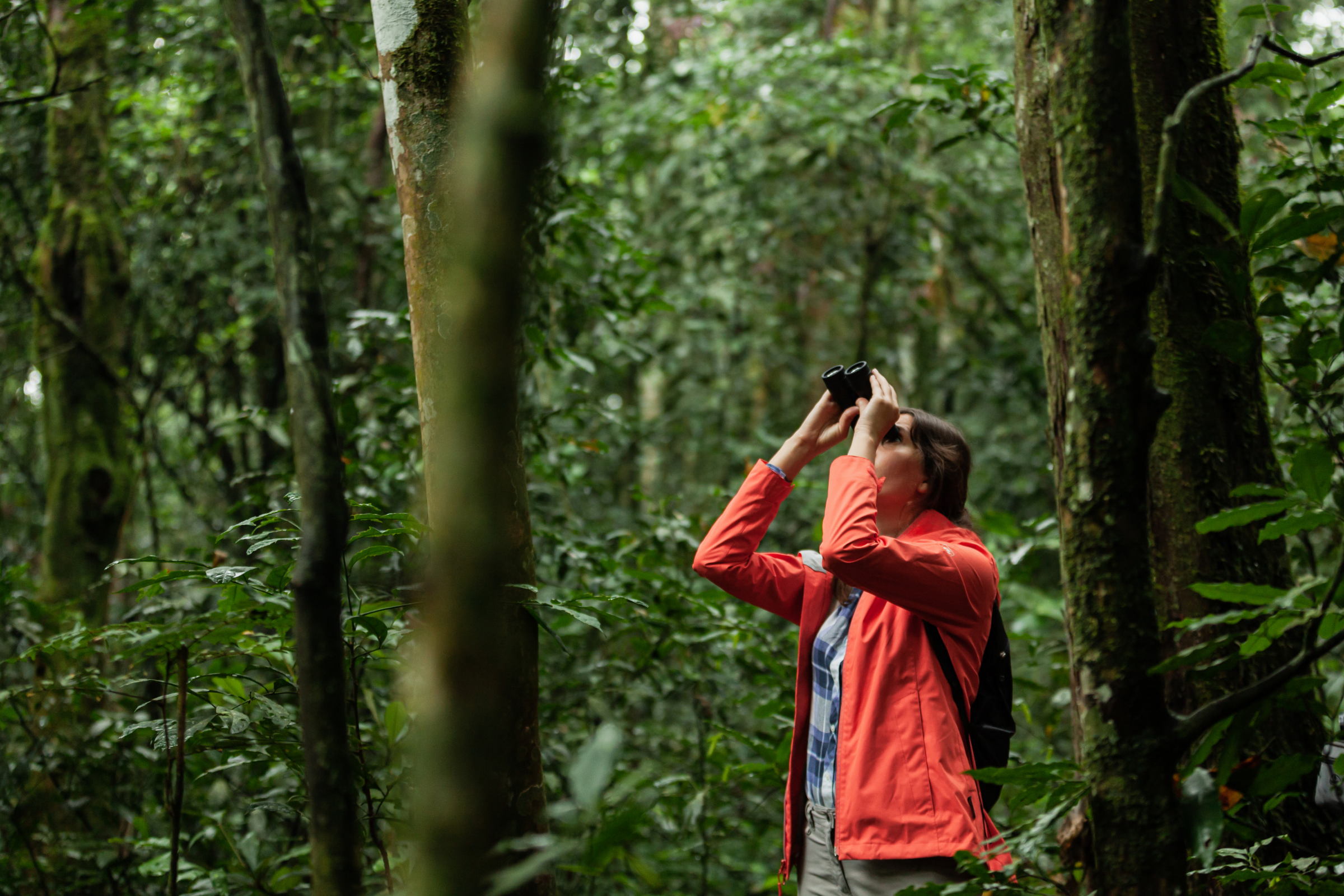 kibale national park.webp
